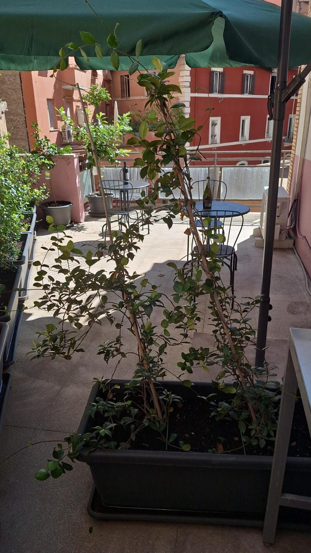 Nasoni Di Roma Aparthotel Exterior foto